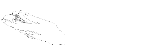 childrenforchrist.co.uk